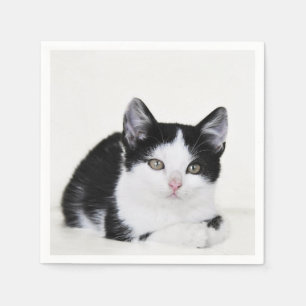 Black and White Kitten Napkin