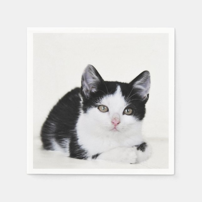 Black and White Kitten Napkin (Front)
