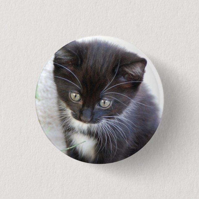 Black and White Kitten Photo 3 Cm Round Badge (Front)
