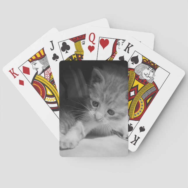 Black and White Kitten Photograph Playing Cards (Back)