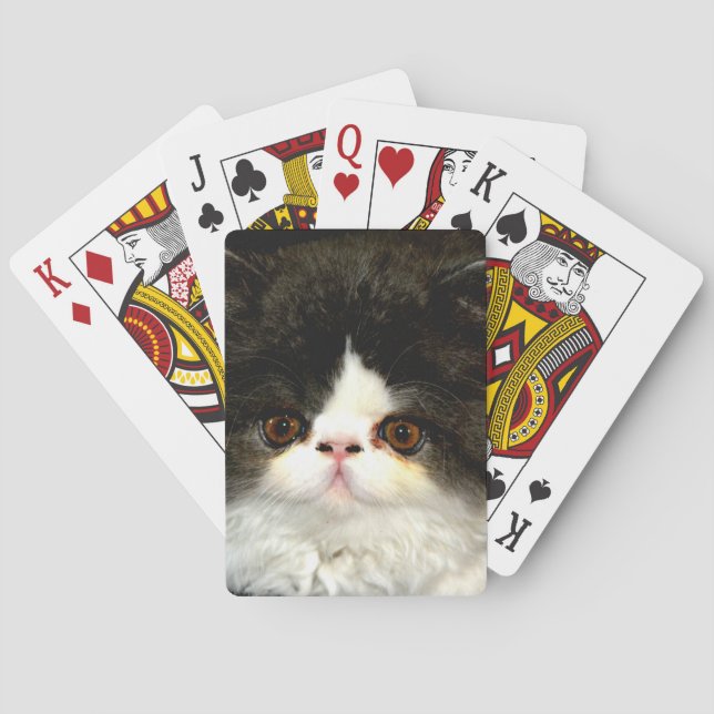 Black and White Kitten Playing Cards (Back)