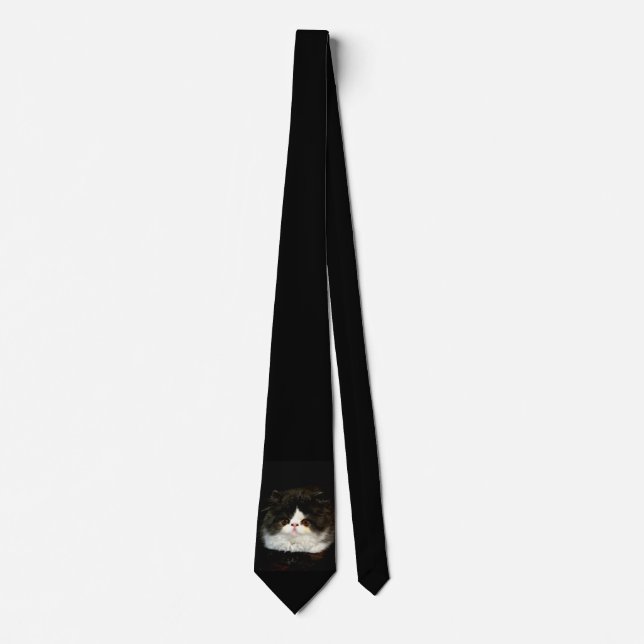 Black and White Kitten Tie (Front)