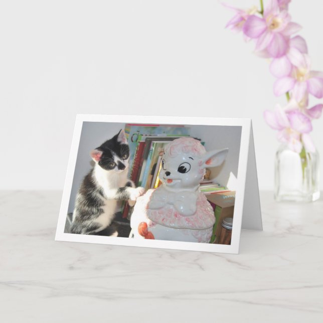 Black and White Kitten with China Lamb Card (Orchid)