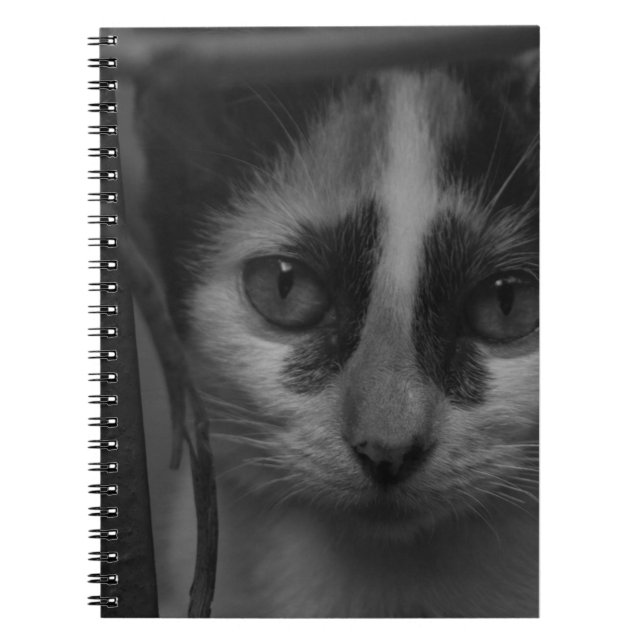 Black and White - Kitty 02 Notebook (Front)