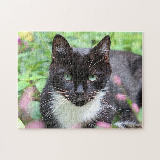 Black and white kitty in the garden jigsaw puzzle (Horizontal)