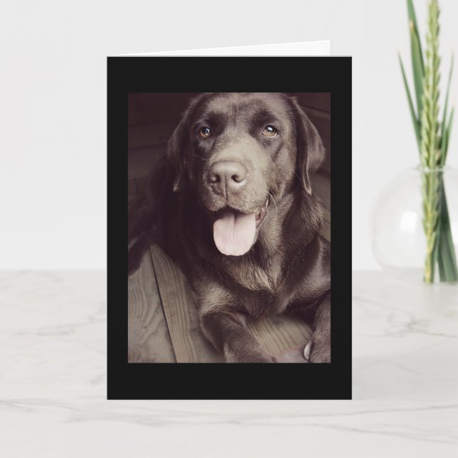 Black And White Labrador Retriever Dog Note Card (Front)