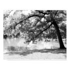 Black and White Landscape Canvas Print