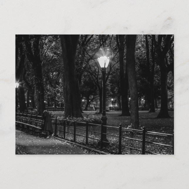 Black and White Landscape Photo of Central Park Postcard (Front)