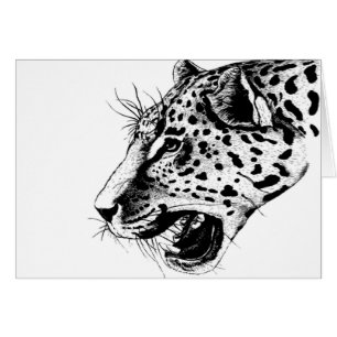 Black And White Leopard