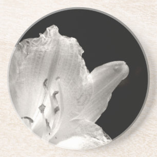 Black and White Lily Photo Coaster