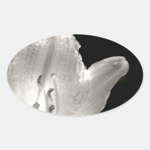 Black and White Lily Photo Oval Sticker