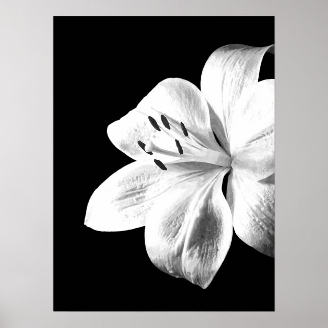 Black and White Lily Poster (Front)