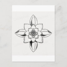 Black and white line drawing water lily flower