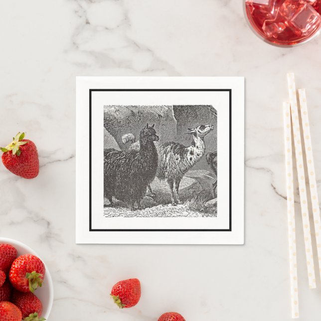 Black and White Llama Alpaca Andes Animal Art Napkin (Insitu)