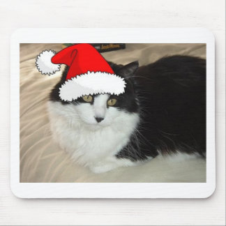 Black and White Longhaired Cat Mouse Pad