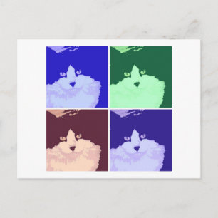 Black and White Longhaired Cat Postcard