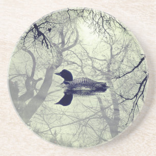 Black and white loon on a lake sandstone coaster