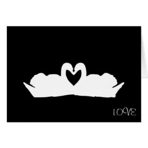 Black And White Love Swans