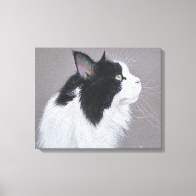 Black and White Maine Coon cat Canvas Print (Front)