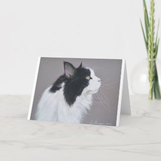 Black and White Maine Coon cat. Card