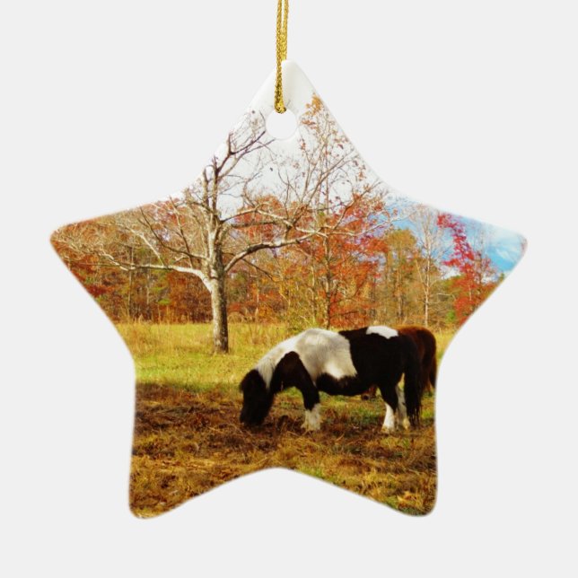 Black and White Miniature Pony / Horse Ceramic Tree Decoration (Front)
