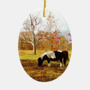 Black and White Miniature Pony / Horse Ceramic Tree Decoration