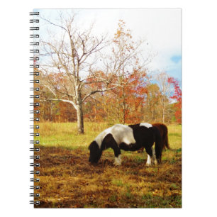 Black and White Miniature Pony / Horse Spiral Notebook