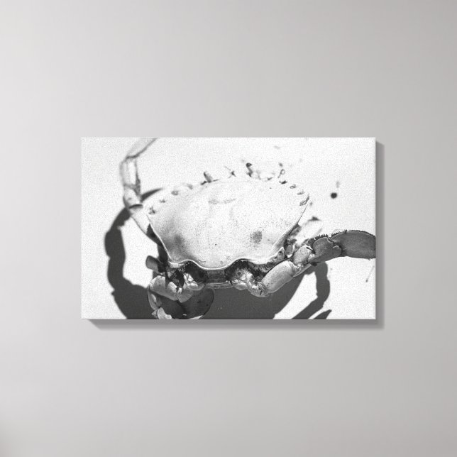 Black And White Monochrome Sea Ocean Crab  Canvas Print (Front)