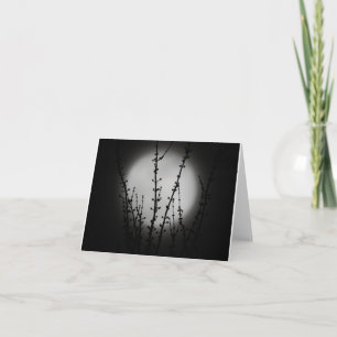 Black and White Moon note cards