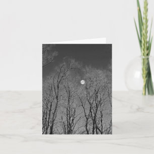 Black and white moon through the trees note card