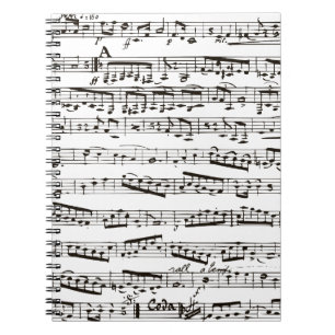 Black and white musical notes spiral notebook