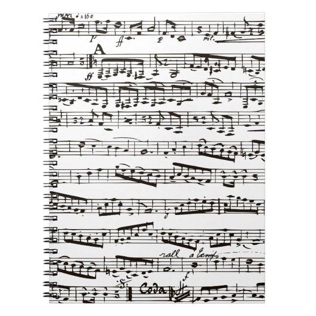 Black and white musical notes spiral notebook (Front)