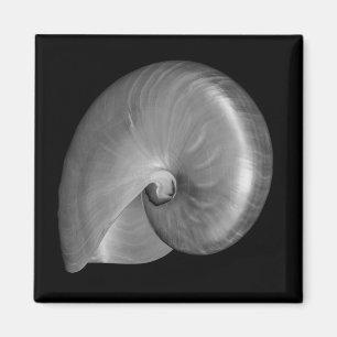 Black and White Nautilus Shell Magnet
