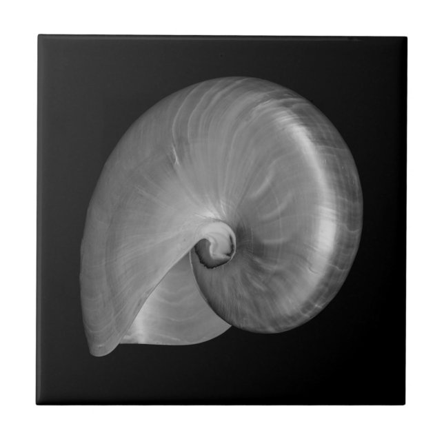 Black and White Nautilus Shell Tile (Front)