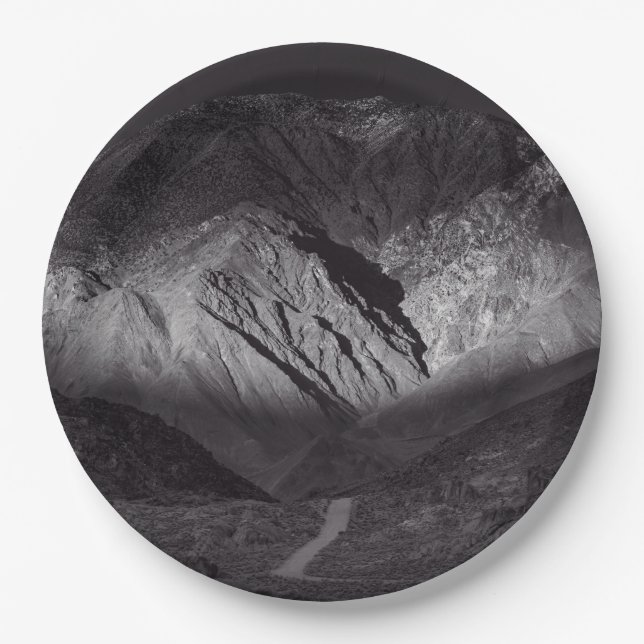 black and white night sky paper plate (Front)