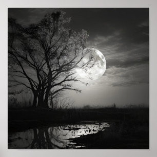 Black and white noir photo moon landscape Poster