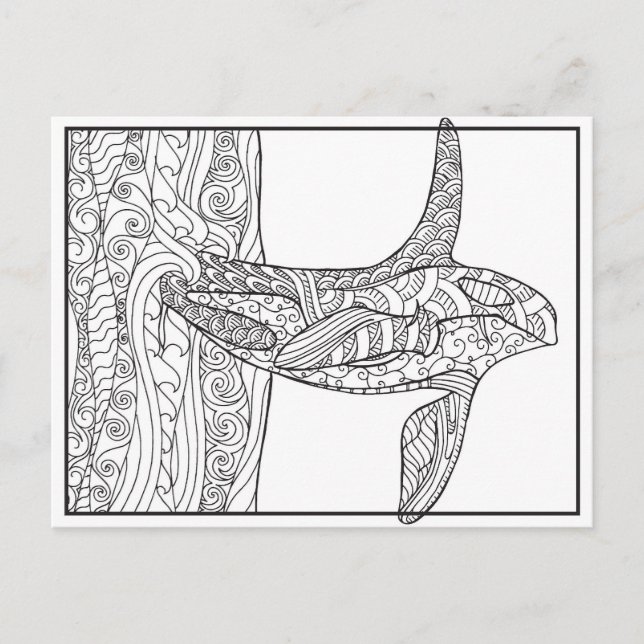 Black and White - Orca Colouring Postcard (Front)