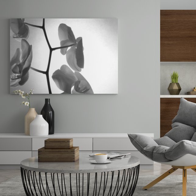 Black and White Orchid Flowers on the Stem Poster (Creator Uploaded)