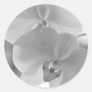 Black and White Orchids Classic Round Sticker
