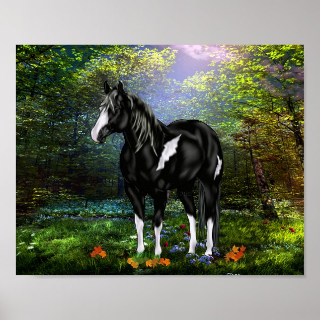 Black and White Overo Paint Horse Poster (Front)