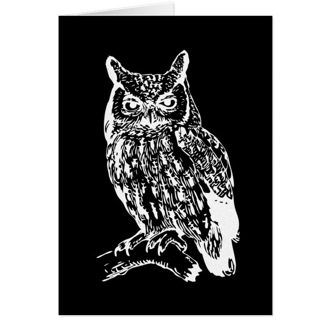 Black and White Owl Art (Front)