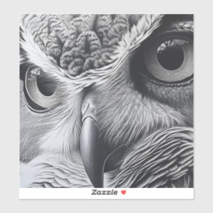 Black and white owl face
