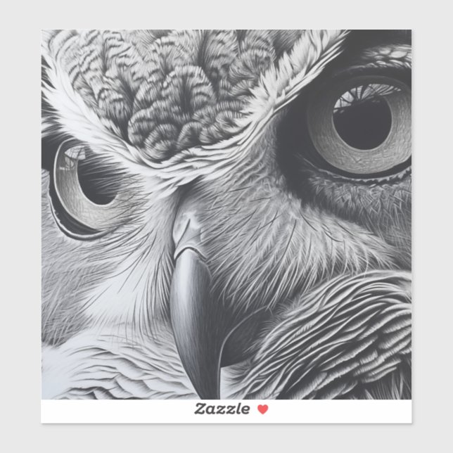 Black and white owl face	 (Sheet)