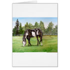Black and White Paint horse/pony grazing in field
