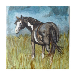 Black and White Paint Horse Watercolor Art Tile