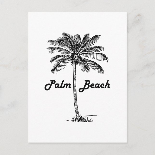 Black and white Palm Beach Florida & Palm design Postcard (Front)