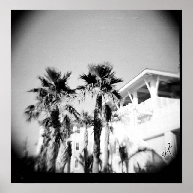 Black and White Palm Poster (Front)