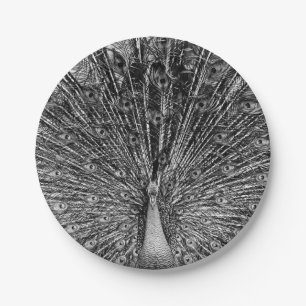 Black and White Peacock Paper Plate