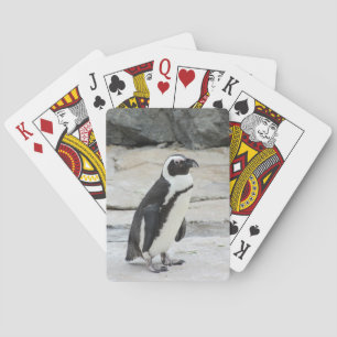 Black and White Penguin on the Rocks Playing Cards