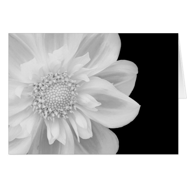 black and white photo (Front Horizontal)